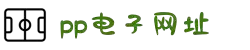 PP电子(中国)有限公司官网